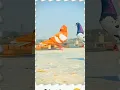 Download Lagu Kabutar Kabootar Pigeon birds #pigeon #kabootar #shorts #short #youtubeshorts