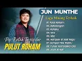 Lagu Jun Munthe - PULUT ROHAN - HOHOLONGAN - ROHAKU || LAGU POP BATAK PALING POPULER 2026