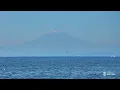 【Journey through Blue】Dynamic Oceans and Water Gradients　Soothing Moments: BGM & BGV