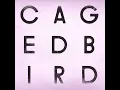 A Caged Bird/Imitations of Life (Instrumental)