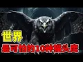 Download Lagu 世界上最可怕的10种猫头鹰，“猫头鹰进宅”真的会预示死亡吗？#动物世界 #雕鸮 #猫头鹰