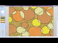 Galaincha v4 05 Visualization