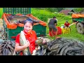 Download Lagu REWIND TIMELAPSE – Use Water Pump Drain Pond Catch Catfish and Transport 100+ Fish Go to Market Sell