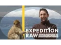 Download Lagu Can Wild Monkeys Hang With Humans? | Expedition Raw