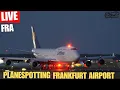 Download Lagu 🔴Live Monday Planespotting Frankfurt Airport 🌇 Night Traffic #airplanes 🛫