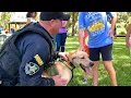 PSO Day In The Life Episode 42 Community Picnic