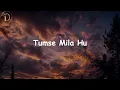 Gerua | Dilwale | Arijit Singh | Antara Mitra | Lyrics | D Lyrical