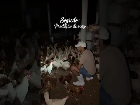 Iluminação da granja