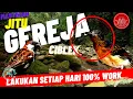 Download Lagu masteran burung murai batu trotol - gereja tarung ciblek 10 jam
