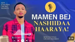 Wow NEW NASHIIDAA Haaraya By Mamen Bej 