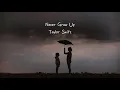Taylor Swift - Never Grow Up (lyrics)
