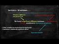 Reporting Statistics in APA Style