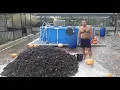 Red Wine at Home - How to Make Wine GEORGY KAVKAZ