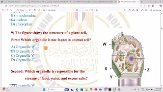 حل اسئلة الواجب المنزلى الاسبوع الخامس Integrated Science للصف الاول الثانوى لغات 2026 