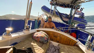 Catching the smallest TUNA and seeing the biggest SHARK Episode 176 (Sailing Catalpa)