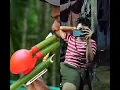 Download Lagu #bamboo #bamboo1 #archery #fishing #woodworking #hunting #bambooart #slingshots #chromakey