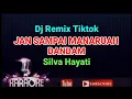 Download Lagu REMIX - JAN SAMPAI MANARUAH DANDAM // Silva Hayati // KARAOKE