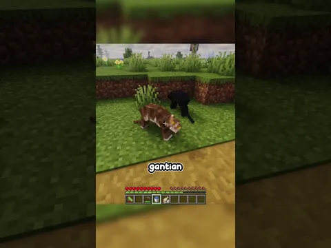 kucing berantem #minecraft #minecraftmemes