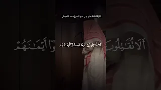 ويشف صدور قوم مؤمنين إبداع يفوق الوصف للشيخ محمد اللحيدان من رمضان 1446 