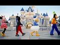 Disneyland Resort Magic Key Pass Overview and Park Access Explained 2026