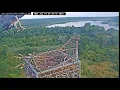 Download Lagu Visarend (Pandion haliaetus) Duitsland, Landen is een kunst