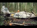 Wulf in the Woods - The Most Incredible WW2 Relic Ever