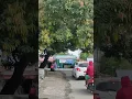 Download Lagu seandainya buah mangga di tanam di pinggir jalan pasti banyak manfaatnya bisa bantu orang lain