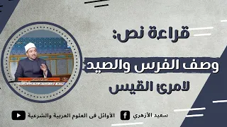 Reading The Text Describing The Horse And Hunting Texts First Year Of Secondary School Al Az 