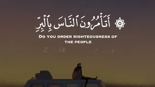 سورة البقرة القارئ عمير شميم 