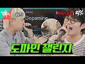 Download Lagu [전참시] 윙이 노래방 가서 '도파민'을 부르면 생기는 일 MBC250607방송 #비트펠라 #노래방 #Dopamine