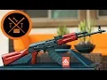 Is the PSA AK-47 Any Good STOOPID CHEAP