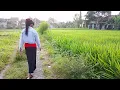 Lagu LIHAT LIHAT SAWAH DI RANTAO,AN GEESS