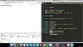 50 - Easy Python Programming Cookies