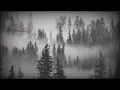 Ex Anima - Dying in Reverse (Sub. Español)