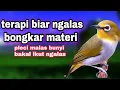 Download Lagu Terapi Pleci Buxtoni Biar Ngalas Ngotot Nembak Ngerol Panjang