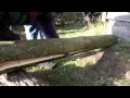 Download Lagu WERKEN MET VERS HOUT