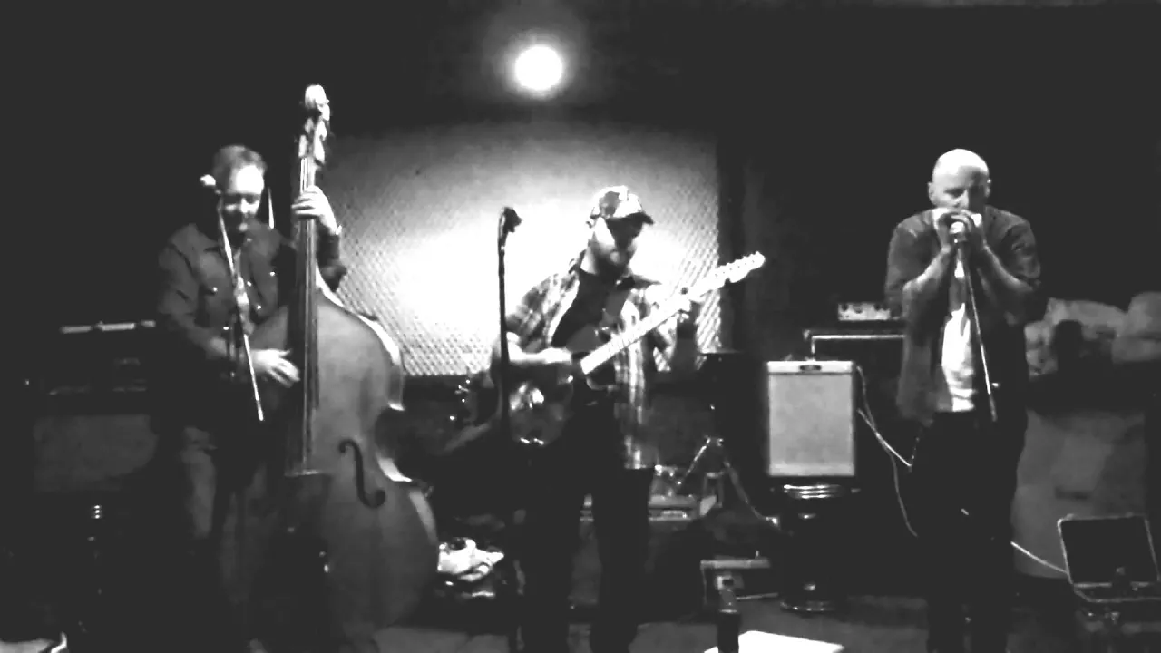 The Swamp Hoppers - One of The Fortunate Few The Swamp Hoppers - One of The Fortunate Few