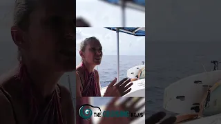 Maldives Tsunami #sailing #travel #Maldives #sailing  #youtubeshorts #tsunami2004