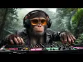Download Lagu DJ GORILLA Afro House Jungle MIX | Enjoy Chillout Grooves Playlist 2025