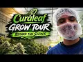 CURALEAF GROW FACILITY TOUR 2026