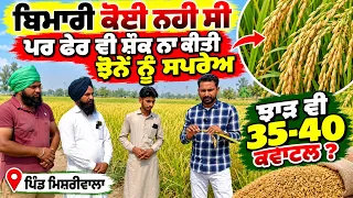 ਬਿਮਾਰੀ ਕੋਈ ਨਹੀਂ ਸੀ, ਫੇਰ ਵੀ ਝੋਨੇ ਨੂੰ ਸਪਰੇਅ ਨਹੀਂ ਕੀਤੀ 🌾 | ਝਾੜ 35-40 ਕਵਾਟਲ? | ਪਿੰਡ ਮਿਸਰੀਵਾਲਾ