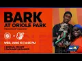 Exciting promotions coming from the Orioles for the next home stand