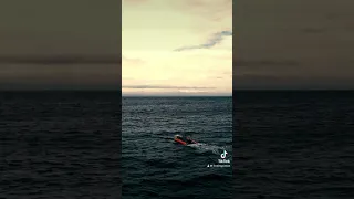 Have ya watched the latest? I’m calling out Mercury and Honda and Nissan and Johnson and…