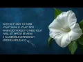 moonflower - Abbie Gamboa & UPPERROOM Instrumental & Lyrics