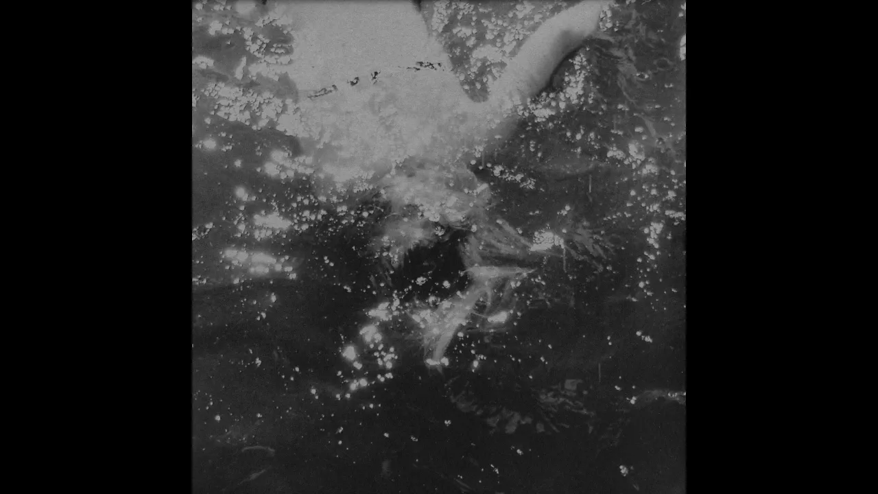 SHXCXCHCXSH - This Hmming Raverie (LIVE Edit) SHXCXCHCXSH - This Hmming Raverie (LIVE Edit)