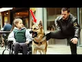 Download Lagu Anjing Pemandu Ini Menyelamatkan Nyawa Seorang Gadis… Dan Membantu Mengungkap Rahasia Mematikan
