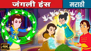 जंगली हंस The Wild Swans - Marathi Story | Chan Chan Goshti | Marathi Goshti गोष्टी | Cartoon
