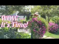 Download Lagu Saying goodbye to summer and creating 4 Containers for Fall 🍂 | Zone 7B