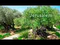 Download Lagu Jeruzalem: Tuin van Gethsemane, Vijvers van Bethesda en Lutherse Kerk van de Verlosser.