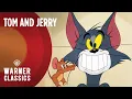 Download Lagu Tom and Jerry | Mega Compilation | Vol. 11 | Warner Classics
